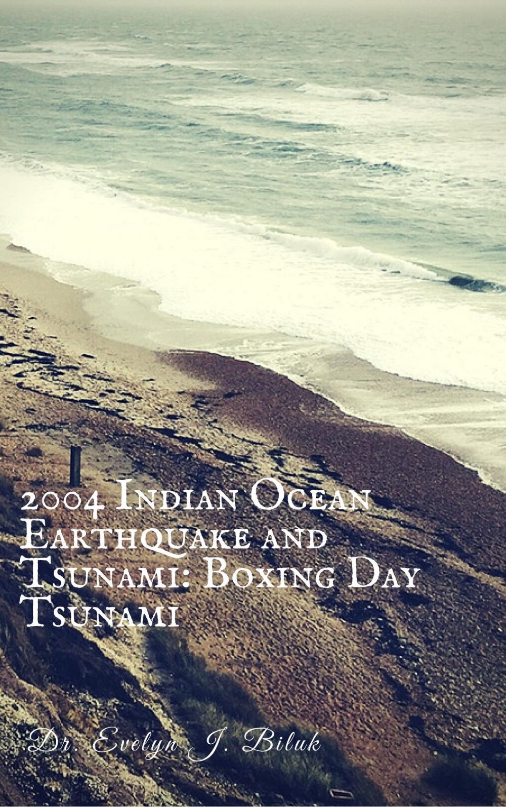 Big bigCover of 2004 Indian Ocean Earthquake and Tsunami: Boxing Day Tsunami