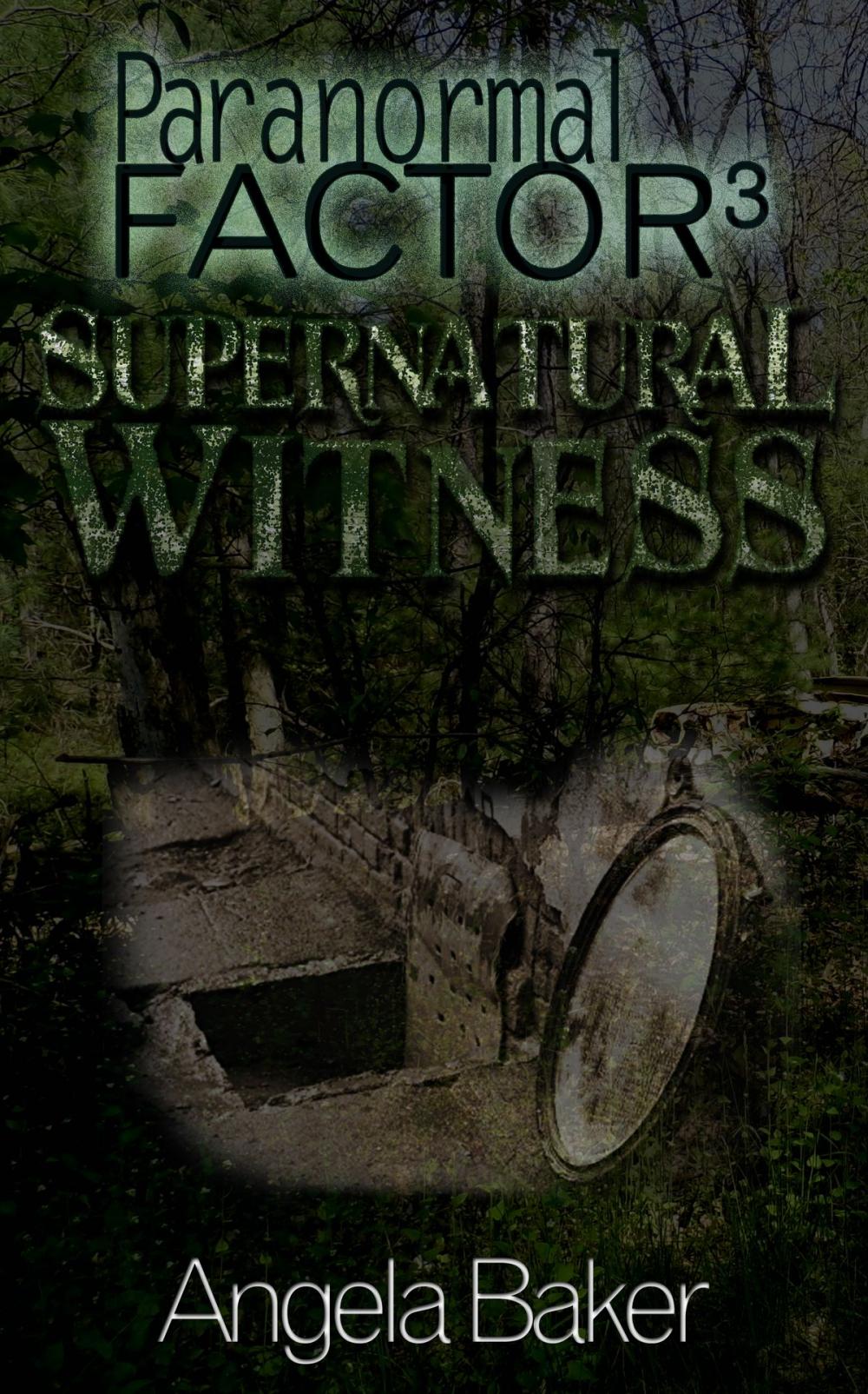 Big bigCover of Supernatural Witness 3