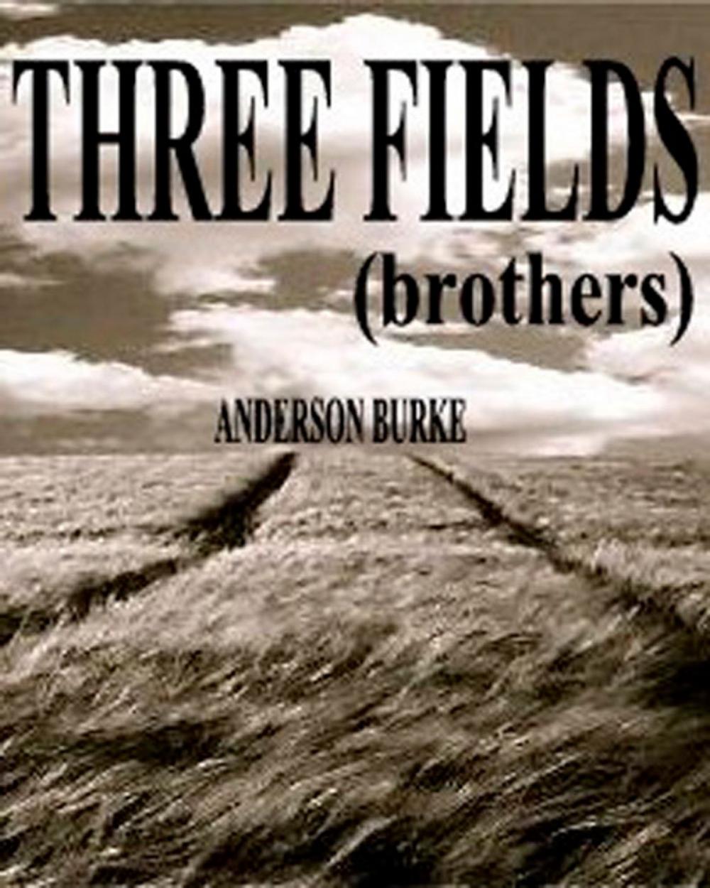 Big bigCover of THREE FIELDS (brothers)