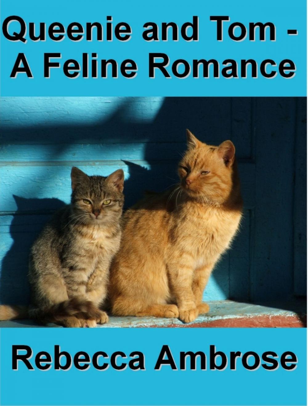 Big bigCover of Queenie and Tom, A Feline Romance