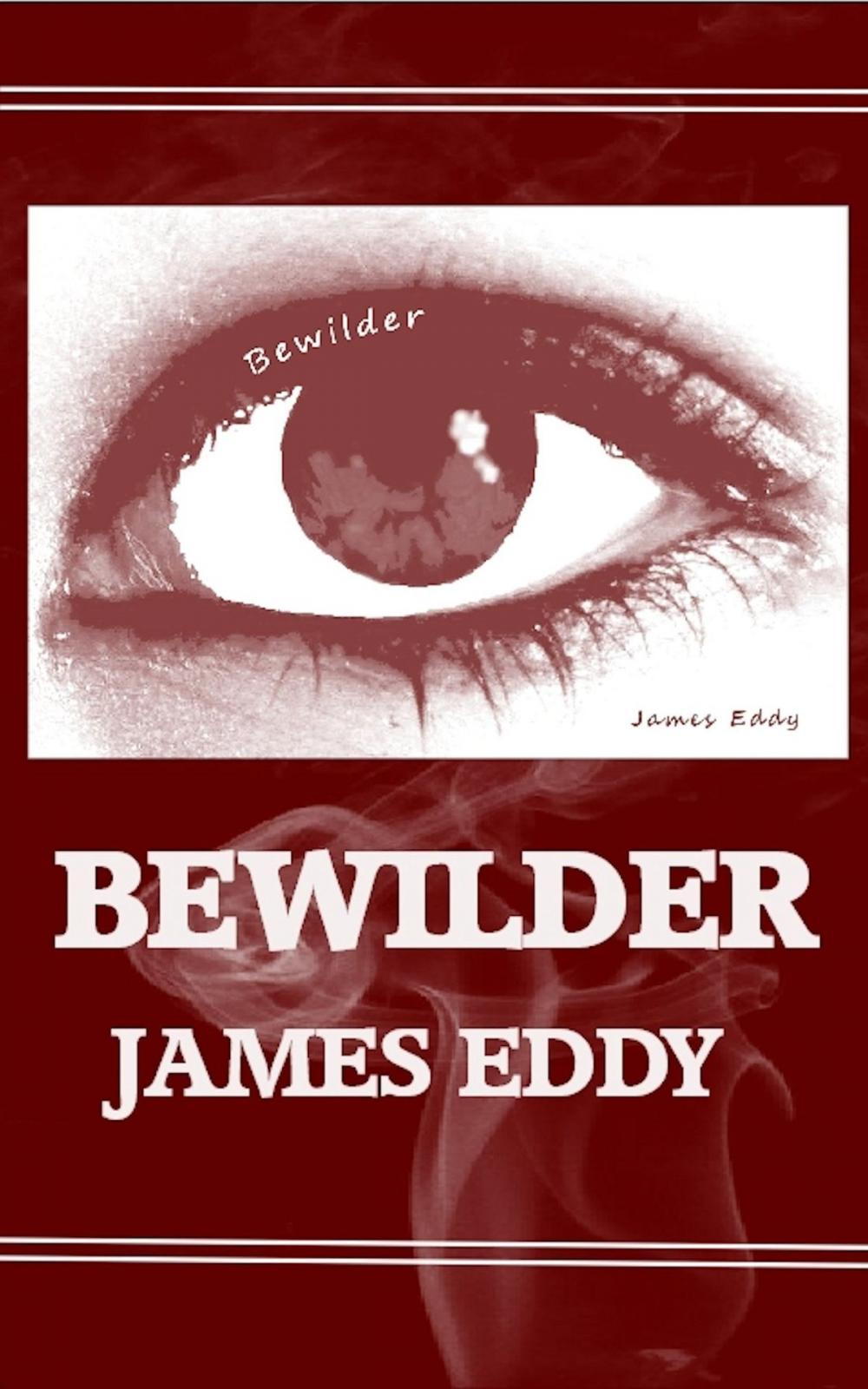 Big bigCover of Bewilder