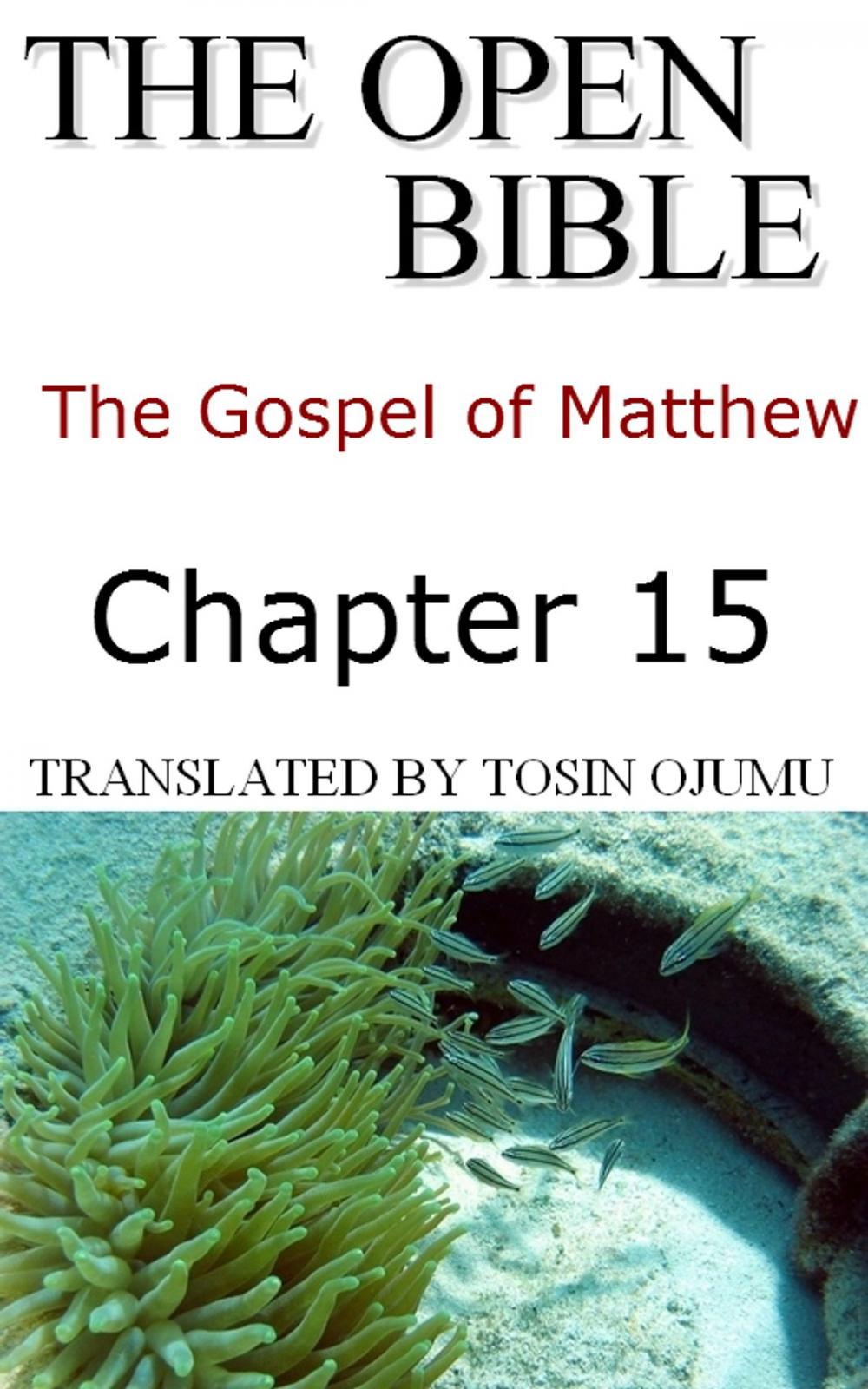 Big bigCover of The Open Bible -The Gospel of Matthew: Chapter 15