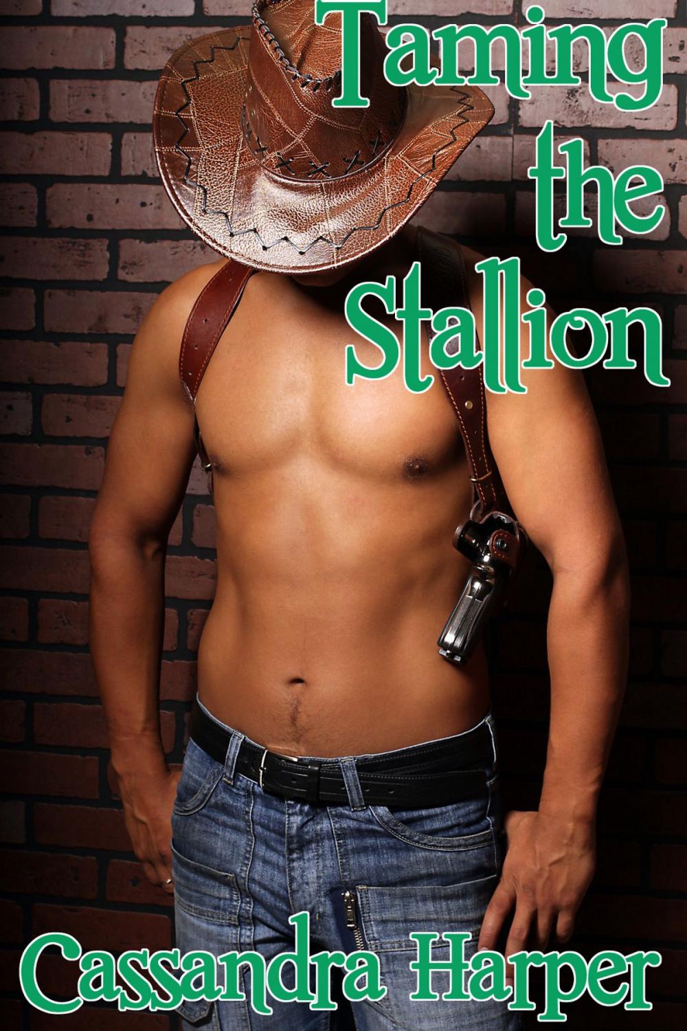 Big bigCover of Taming the Stallion