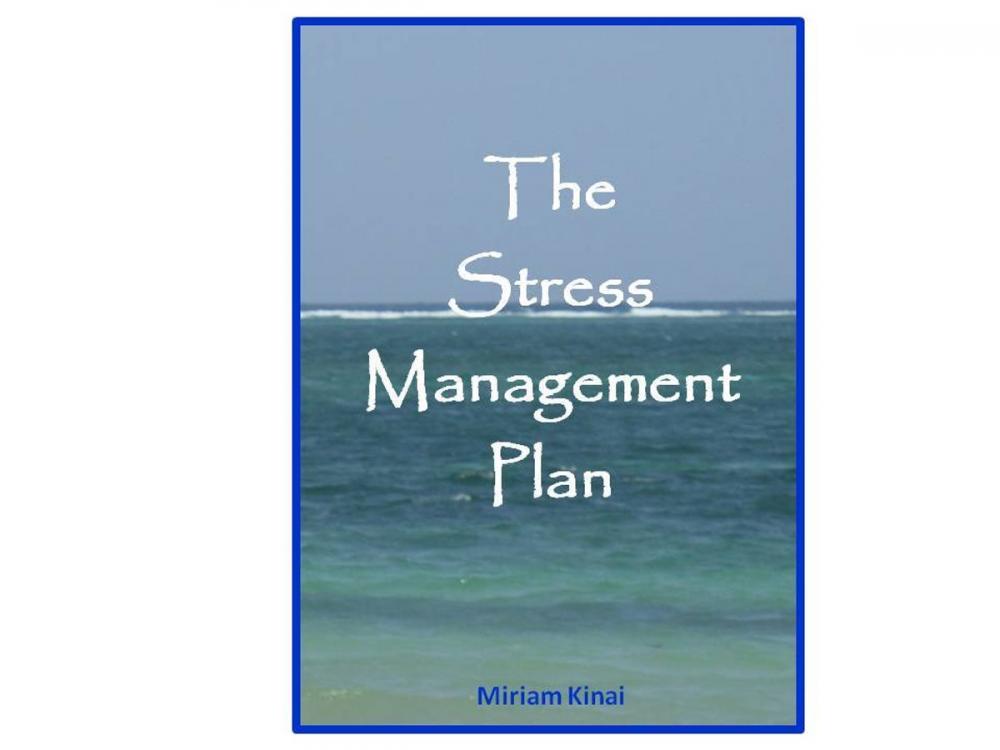 Big bigCover of The Stress Management Plan