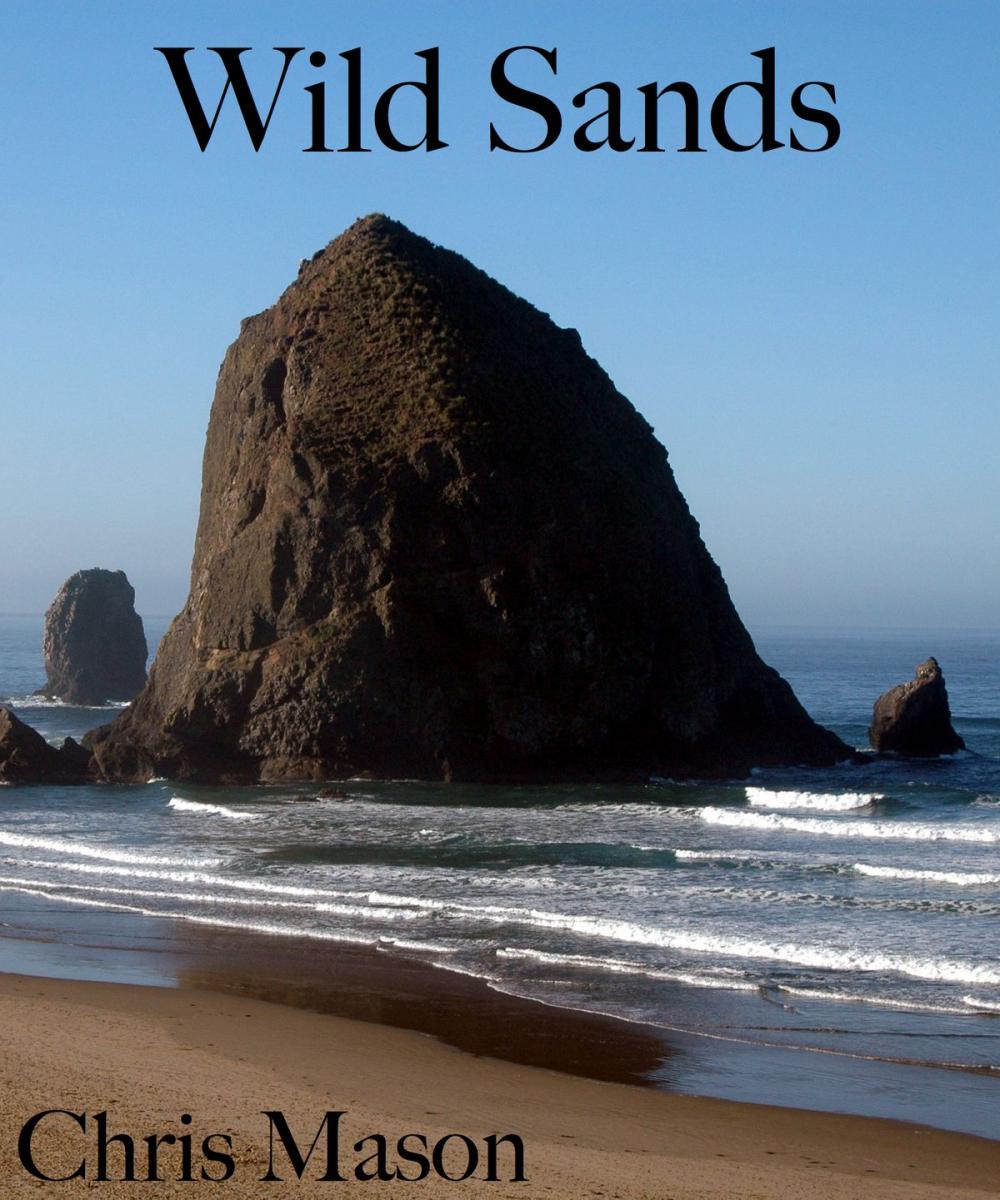 Big bigCover of Wild Sands