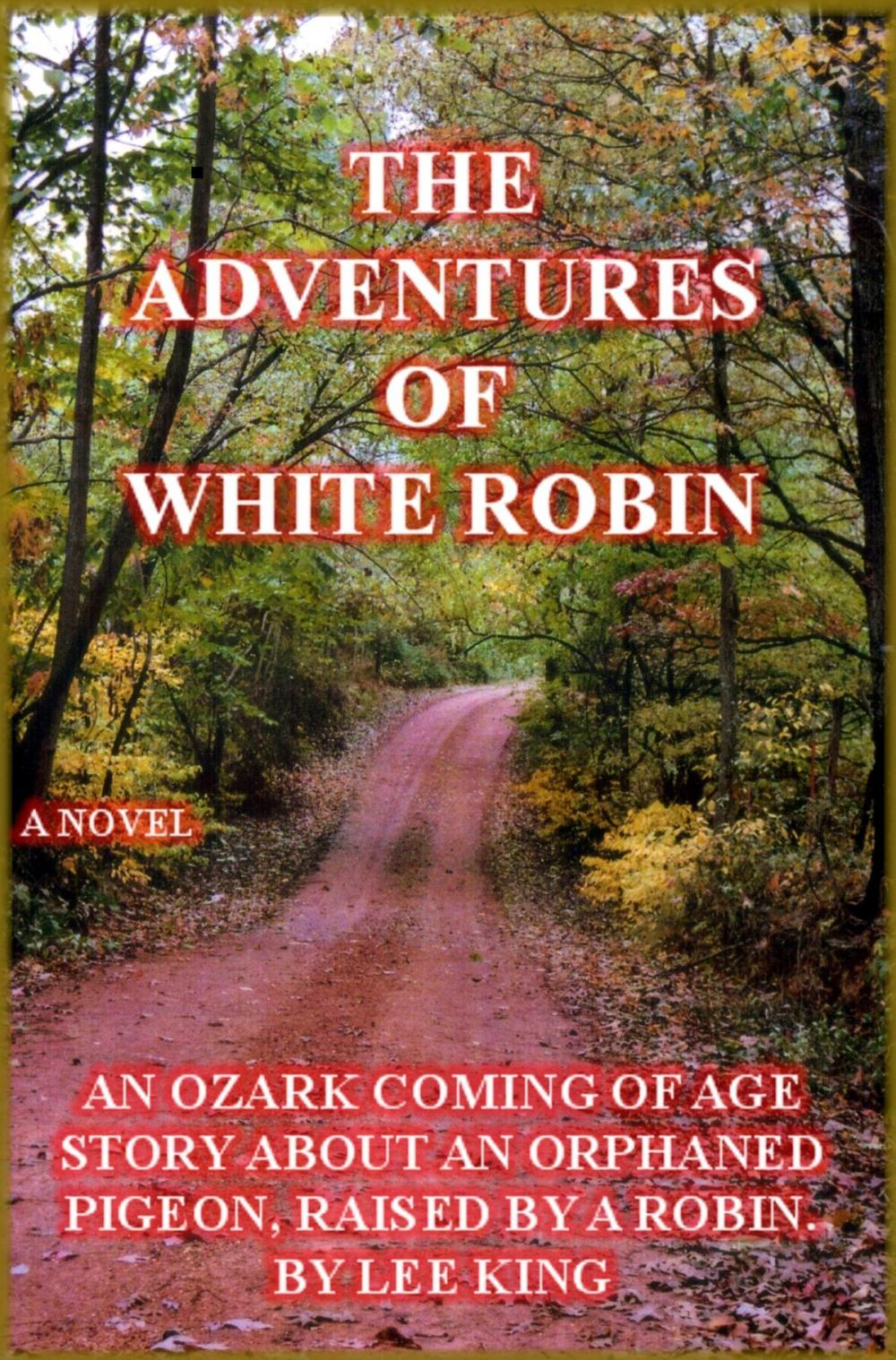 Big bigCover of The Adventures of White Robin