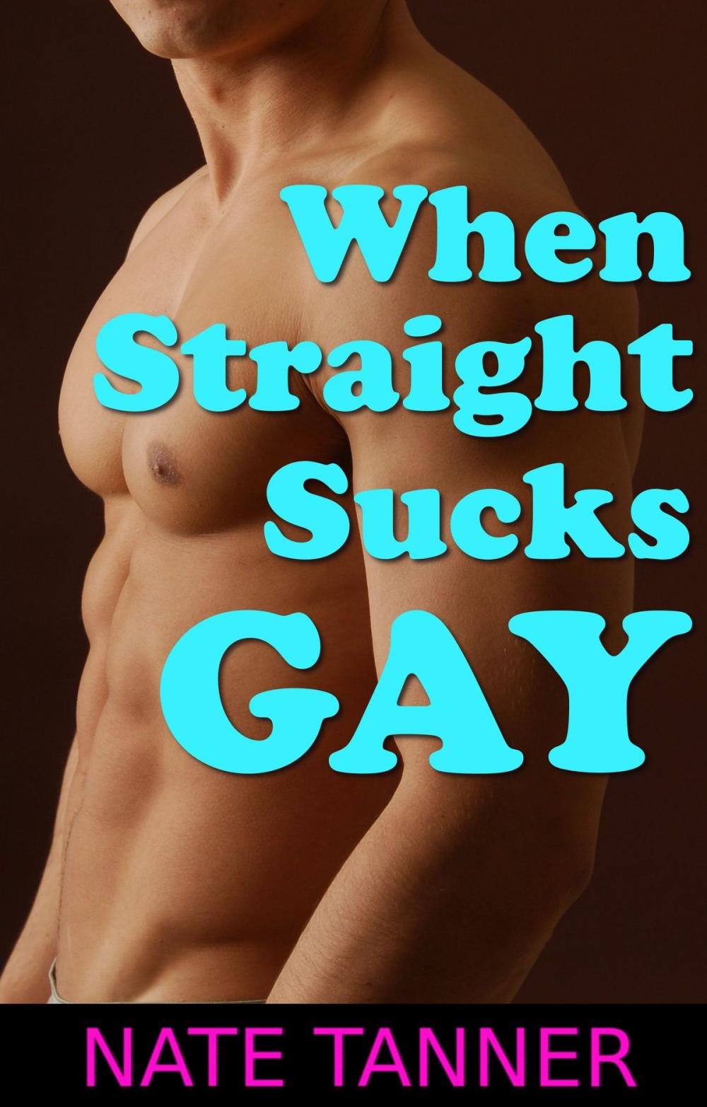 Big bigCover of When Straight Sucks Gay