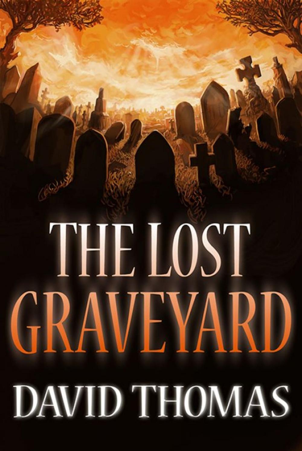 Big bigCover of The Lost Graveyard.