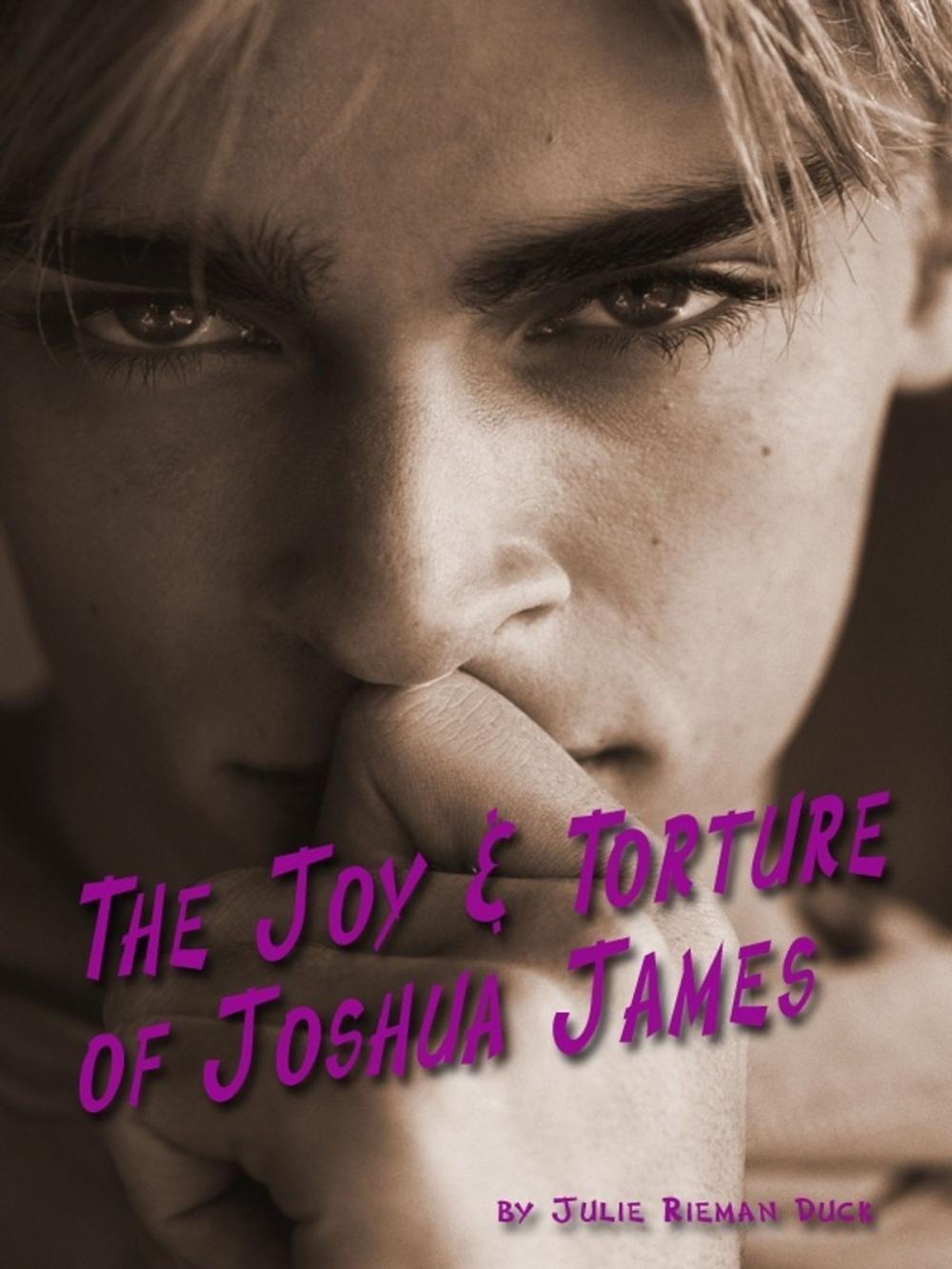 Big bigCover of The Joy & Torture of Joshua James