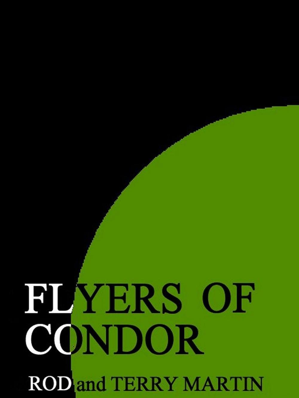 Big bigCover of Flyers of Condor