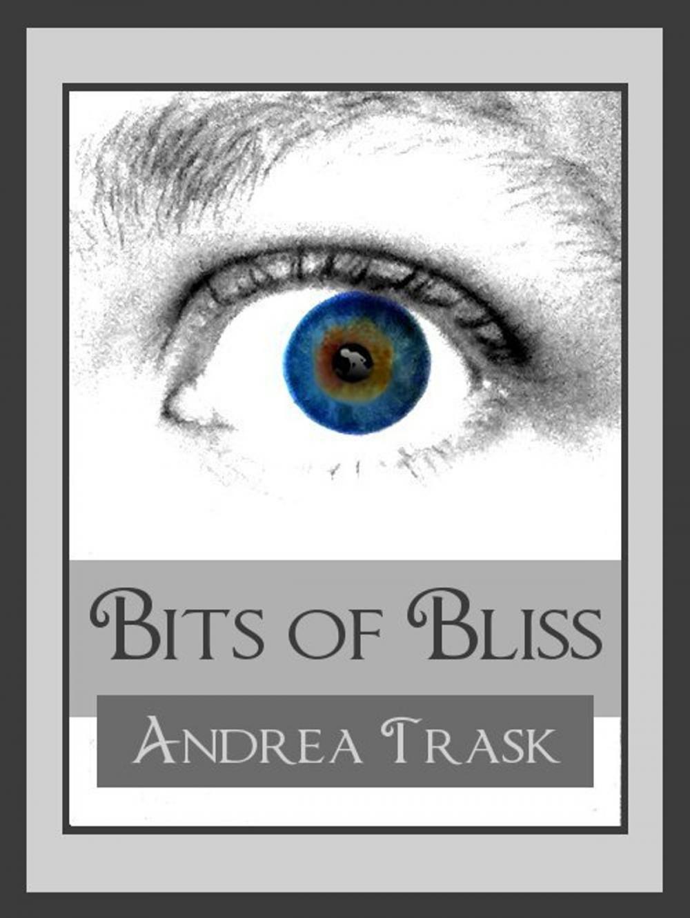 Big bigCover of Bits of Bliss: Volume 1