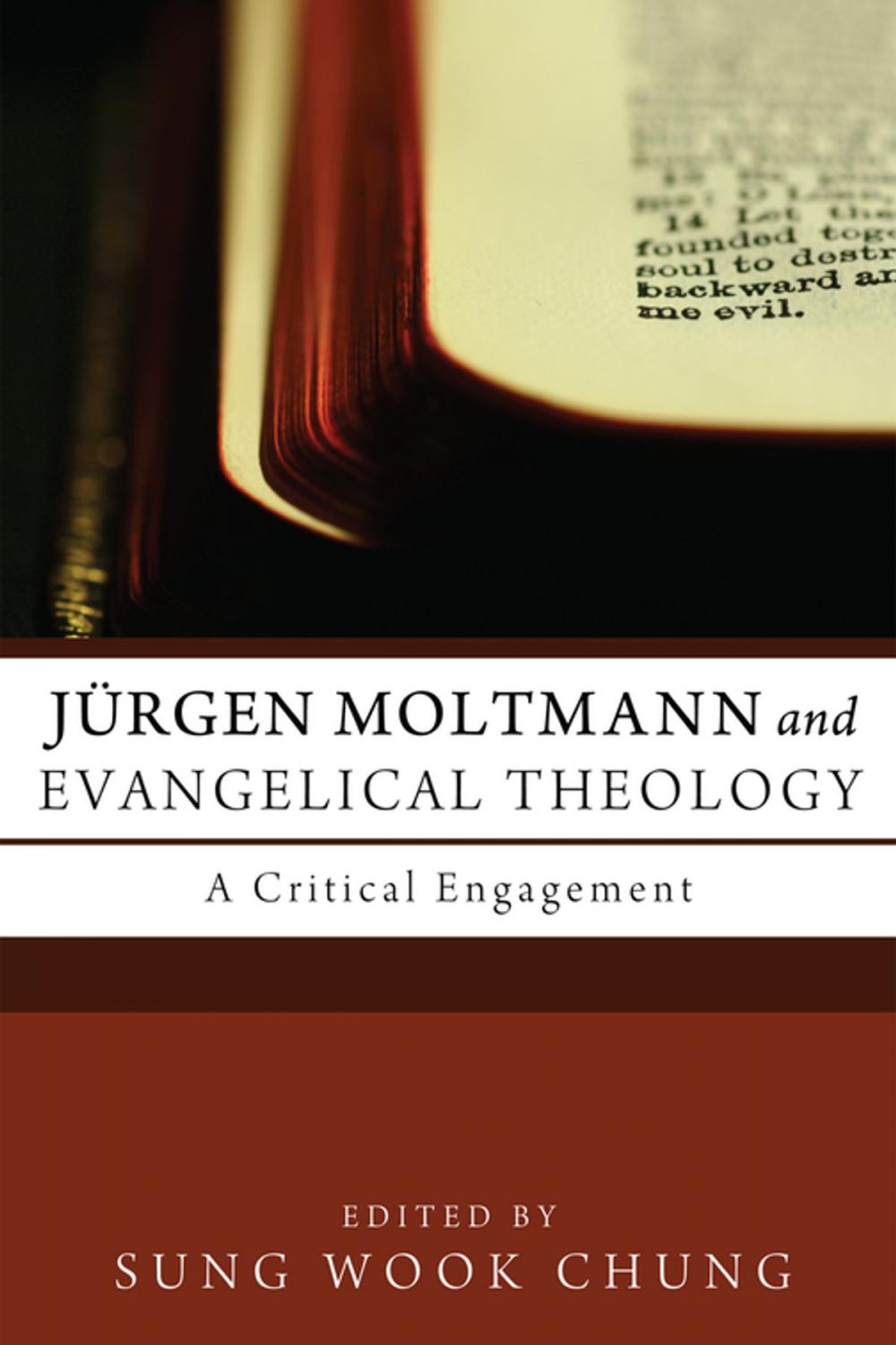 Big bigCover of Jürgen Moltmann and Evangelical Theology