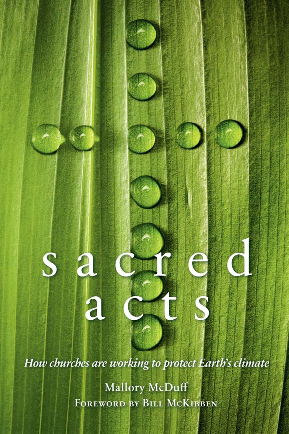 Big bigCover of Sacred Acts: How Churches are Working to Protect Earth's Climate