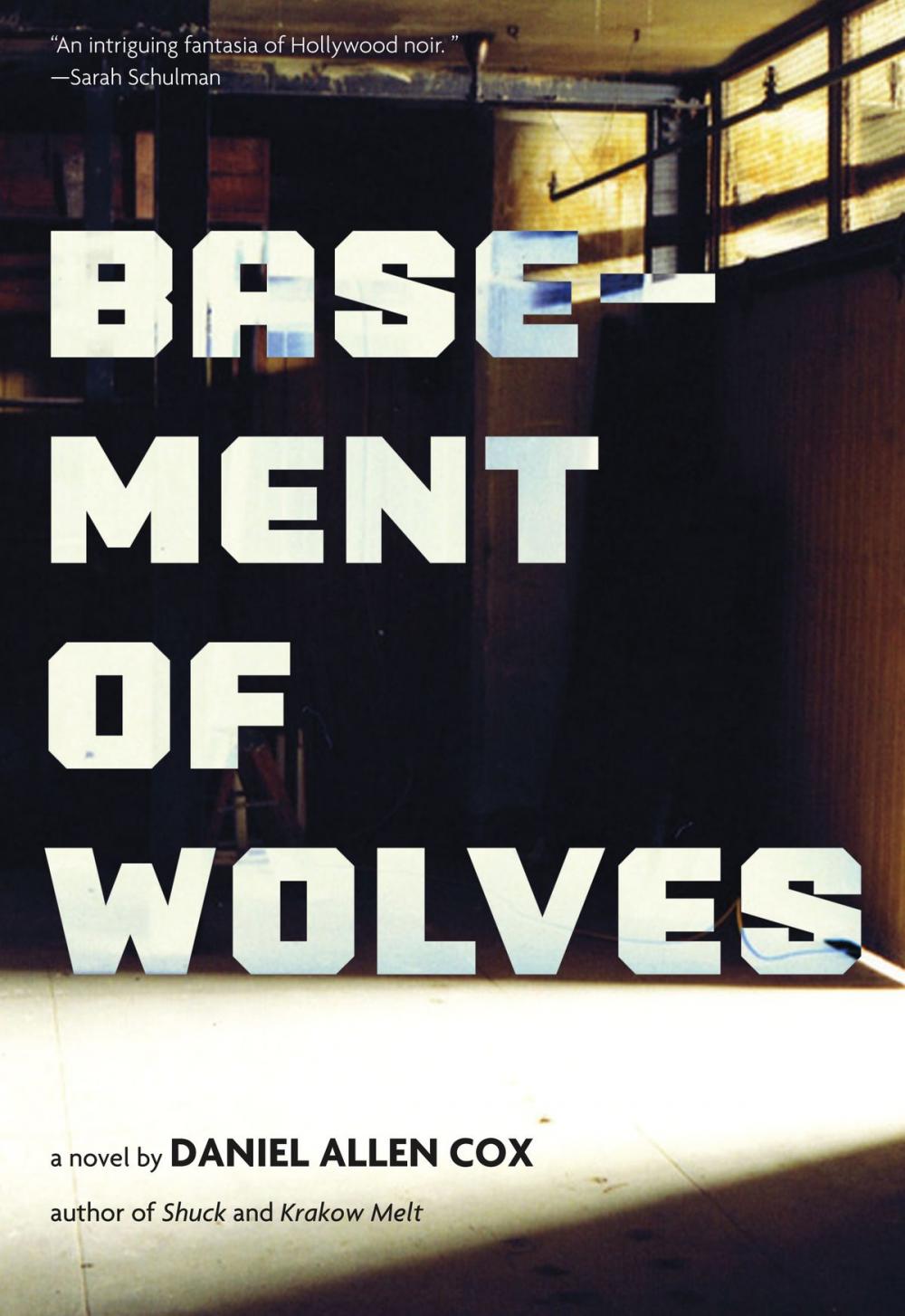 Big bigCover of Basement of Wolves