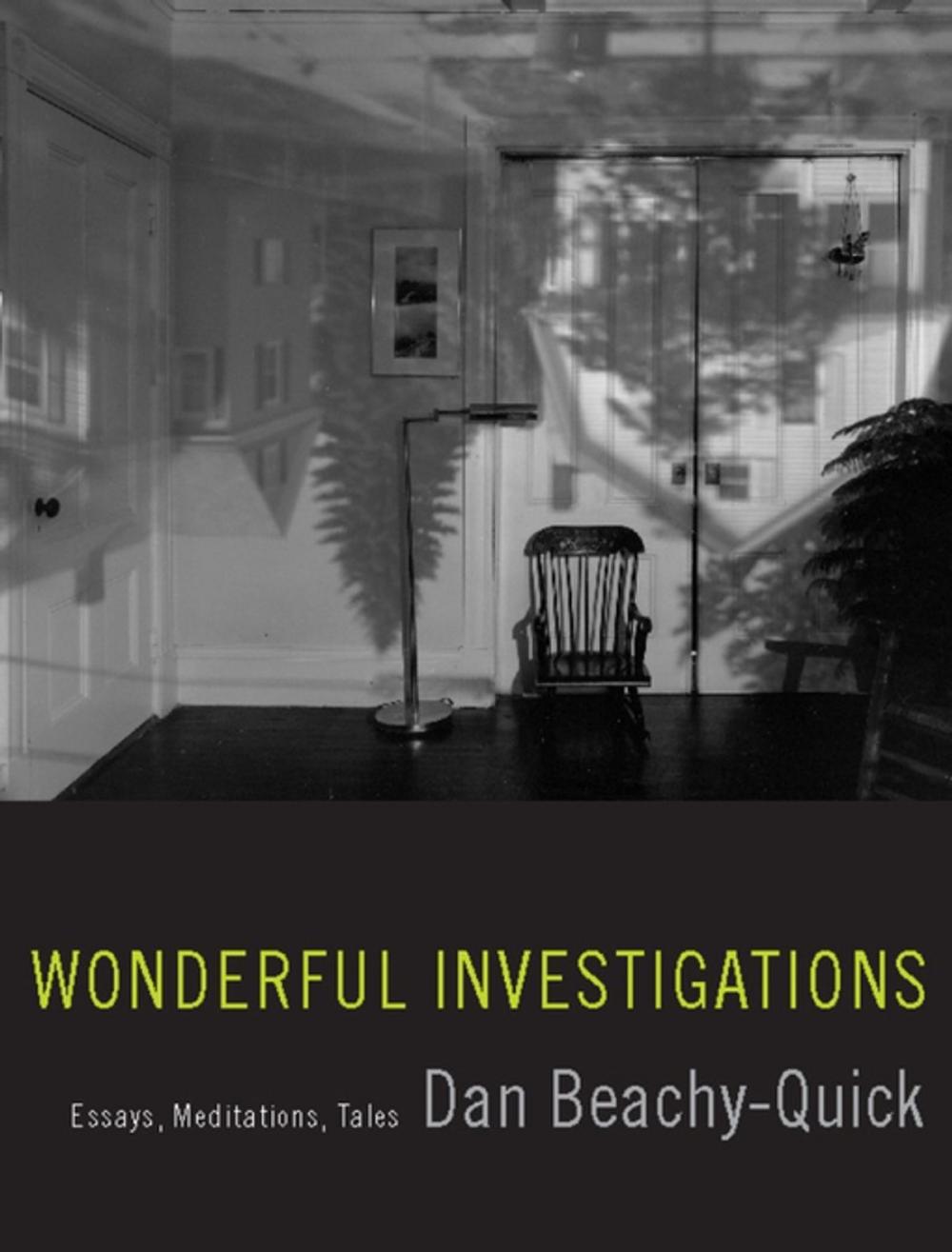 Big bigCover of Wonderful Investigations