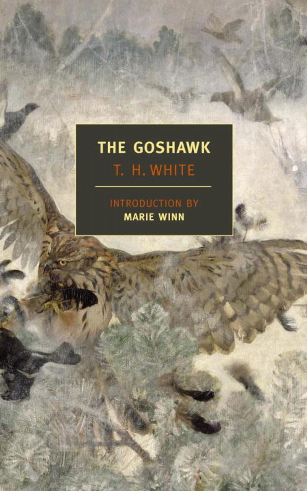 Big bigCover of The Goshawk