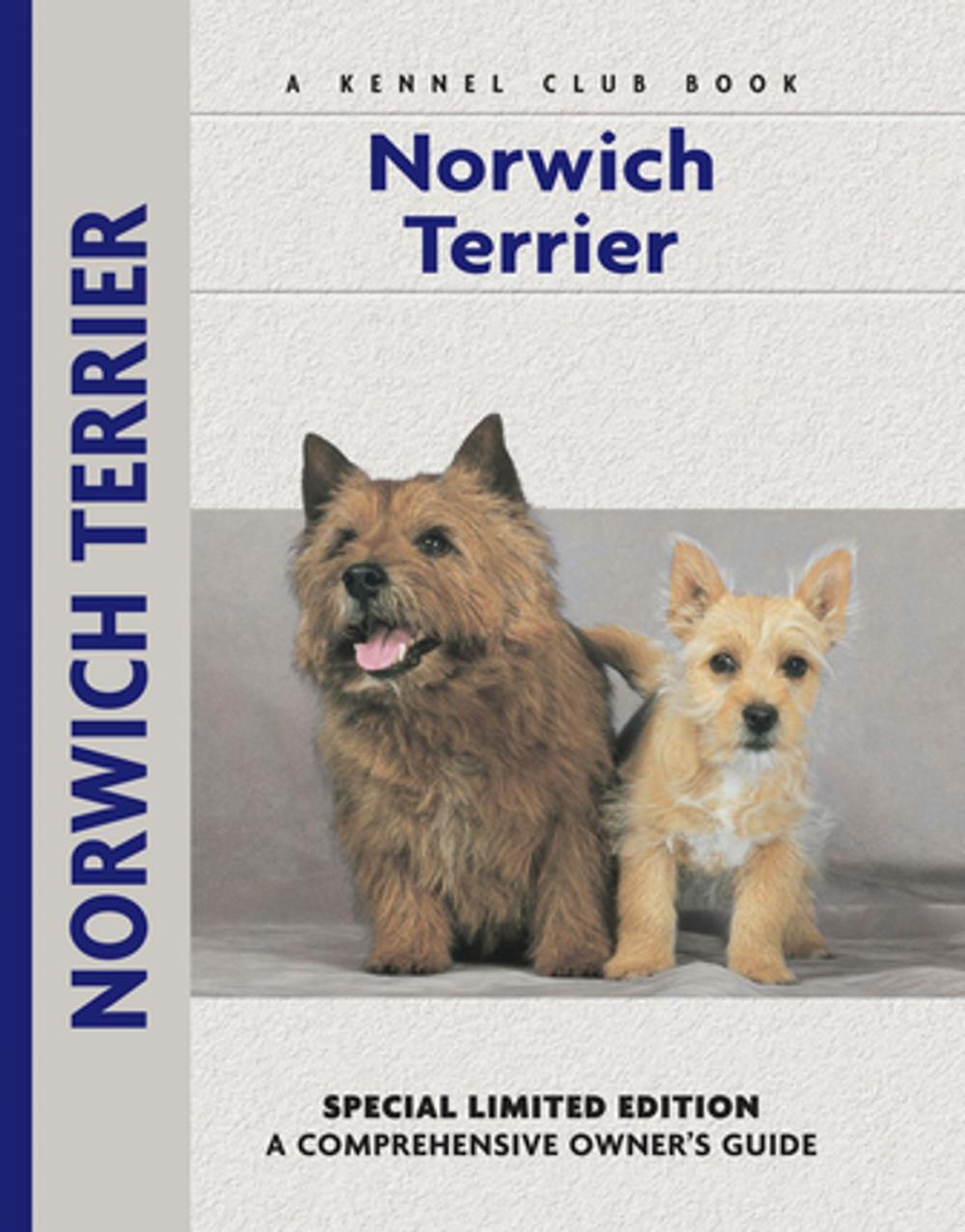 Big bigCover of Norwich Terrier