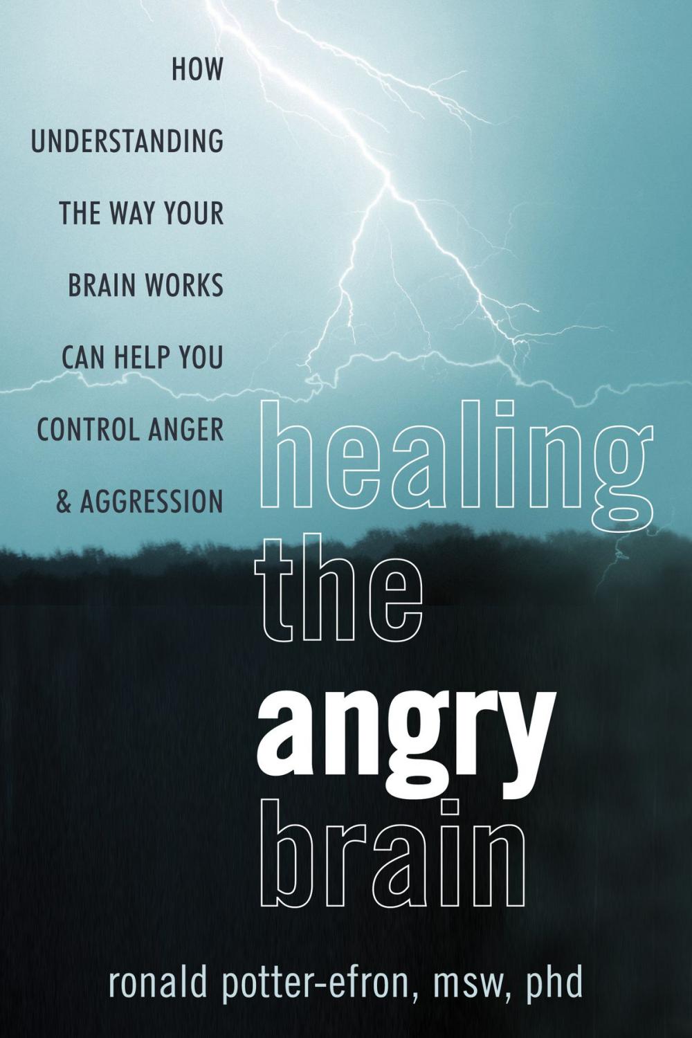 Big bigCover of Healing the Angry Brain