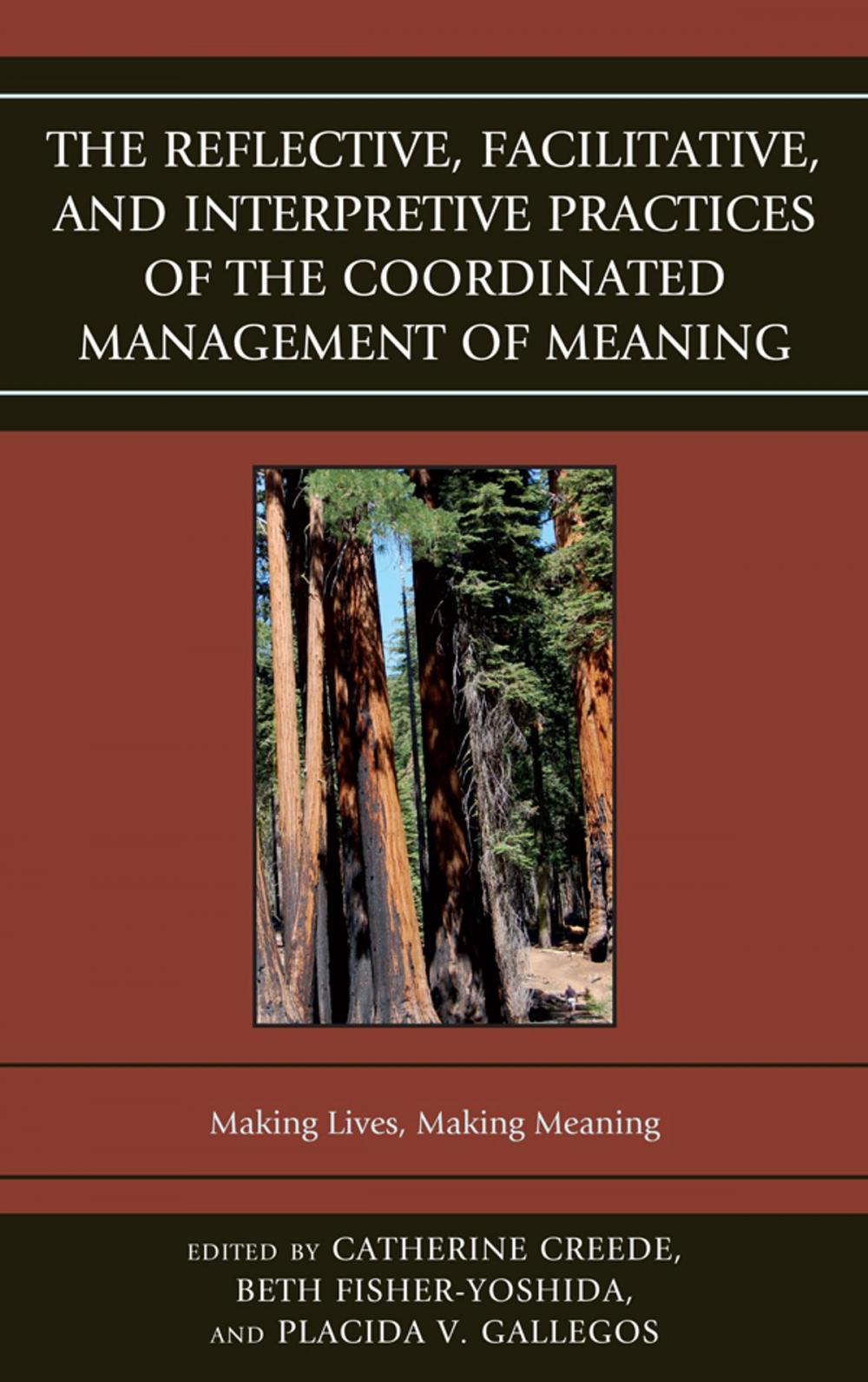 Big bigCover of The Reflective, Facilitative, and Interpretive Practice of the Coordinated Management of Meaning