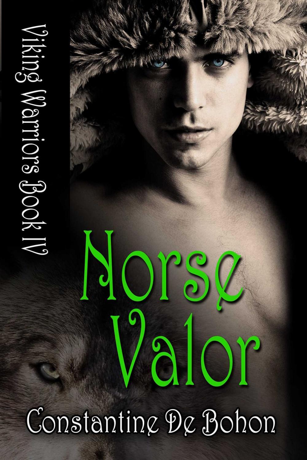 Big bigCover of Norse Valor