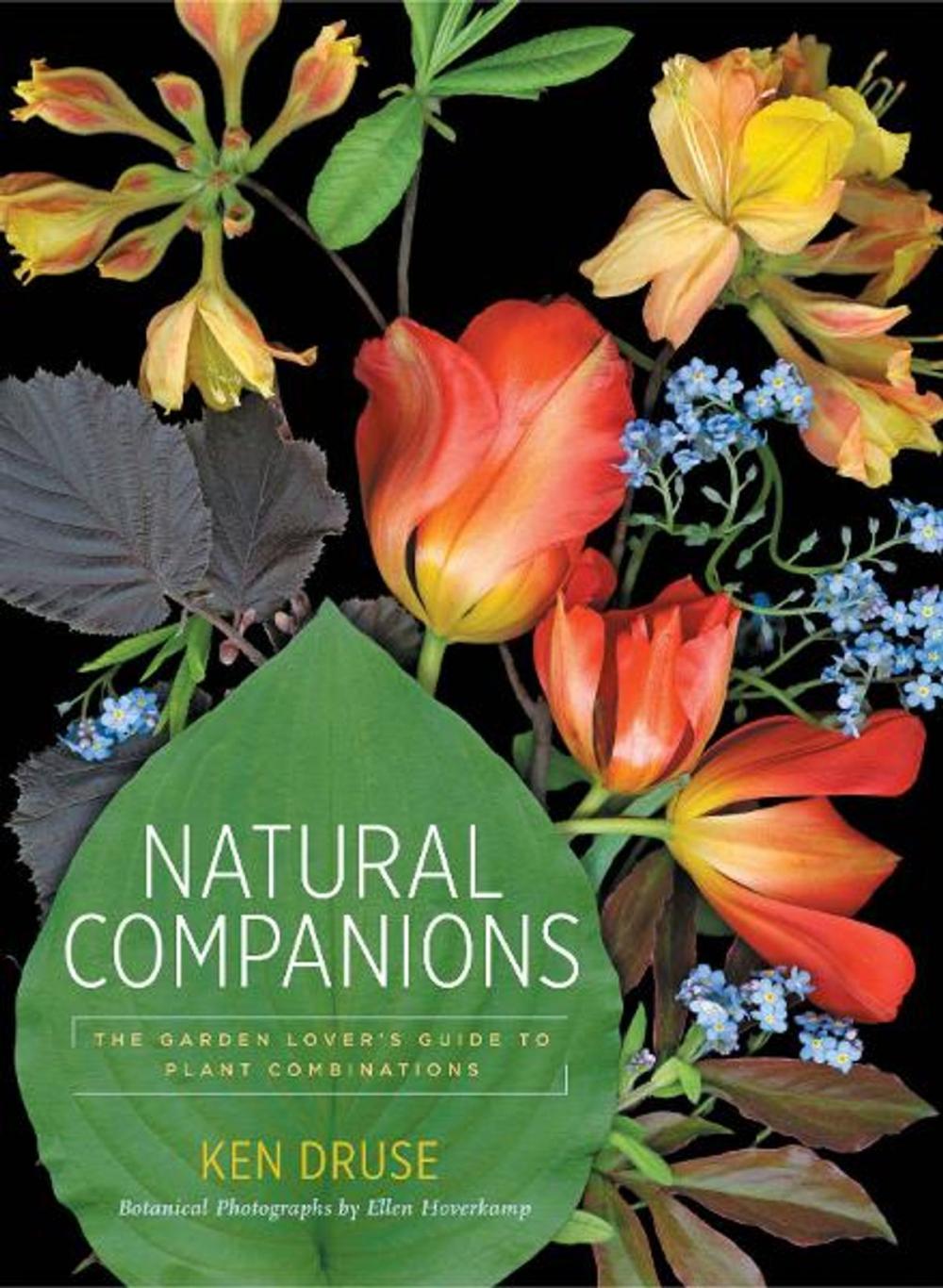 Big bigCover of Natural Companions