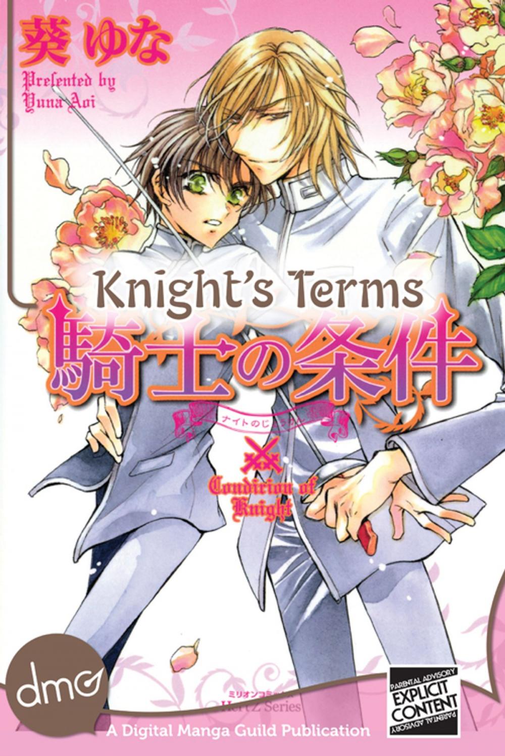 Big bigCover of Knight's Terms