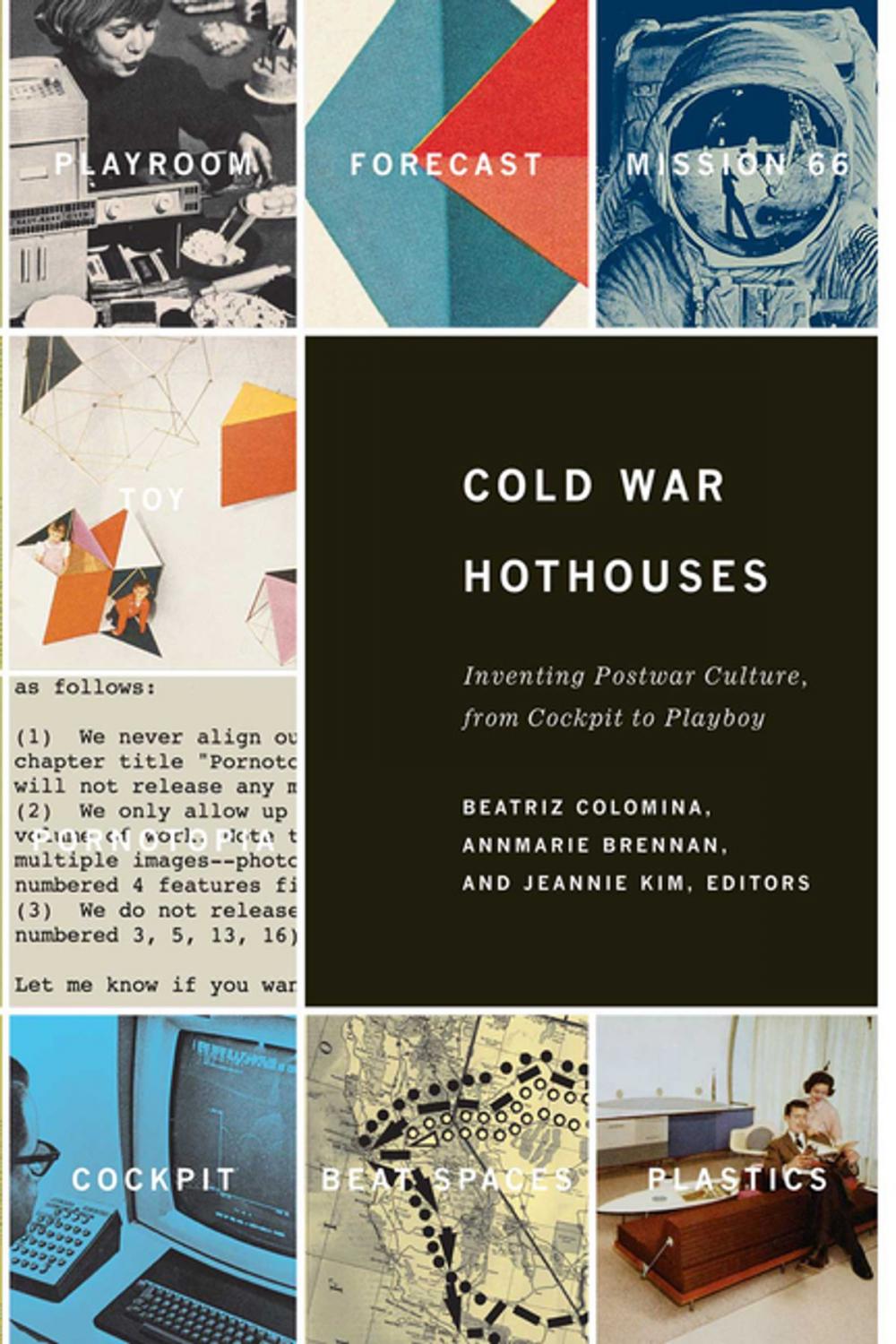 Big bigCover of Cold War Hothouses