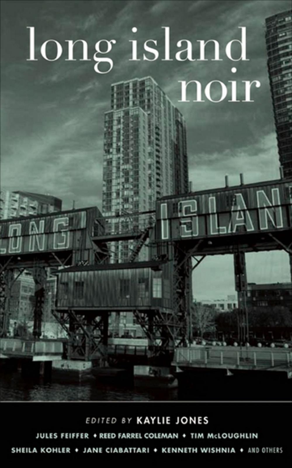 Big bigCover of Long Island Noir