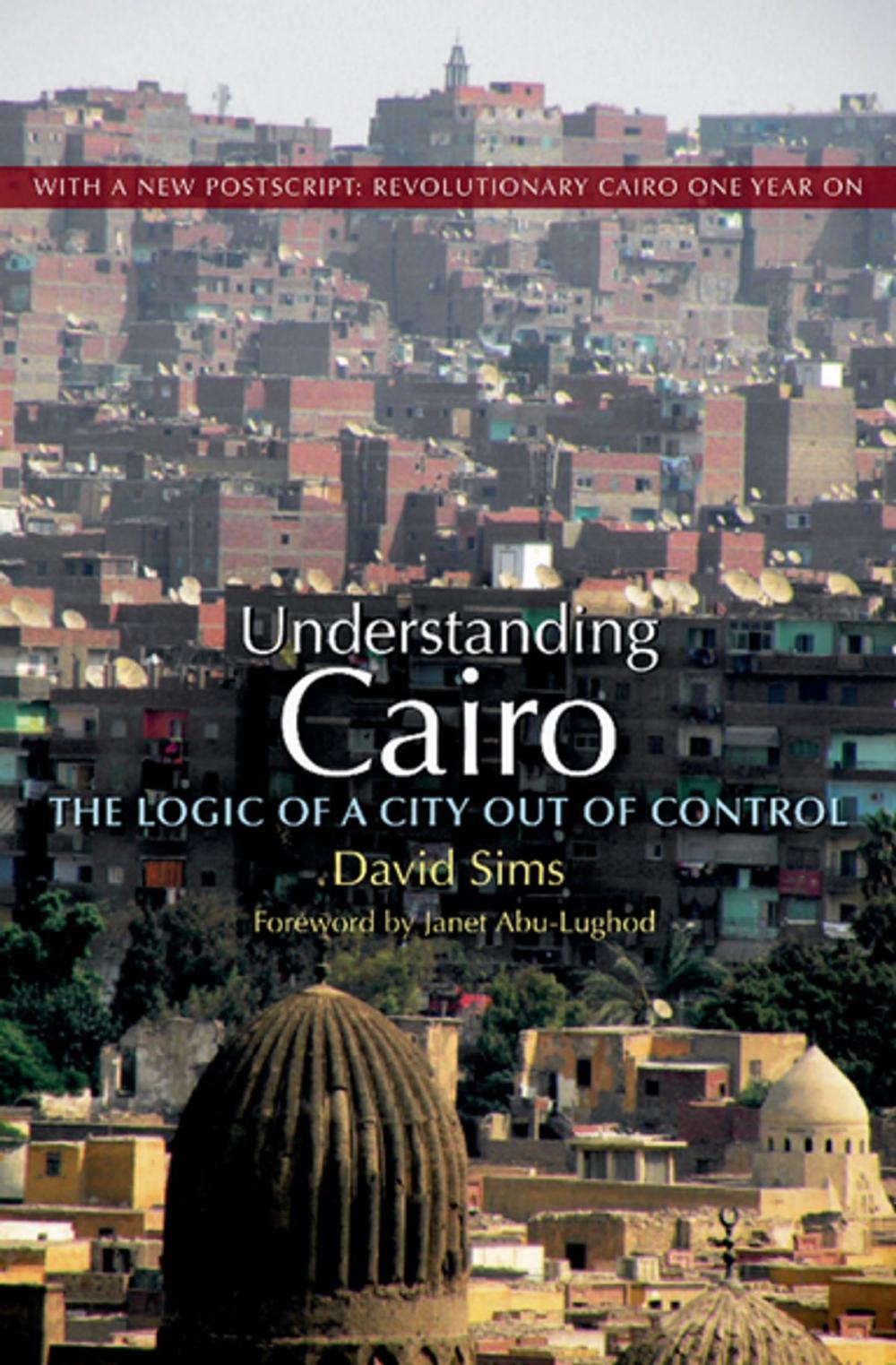 Big bigCover of Understanding Cairo