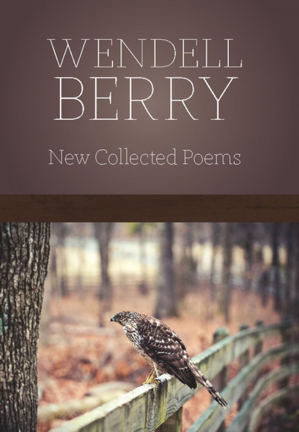 Big bigCover of New Collected Poems