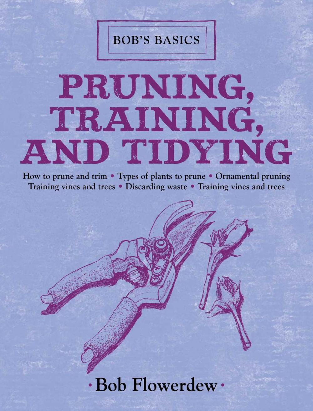 Big bigCover of Pruning, Training, and Tidying