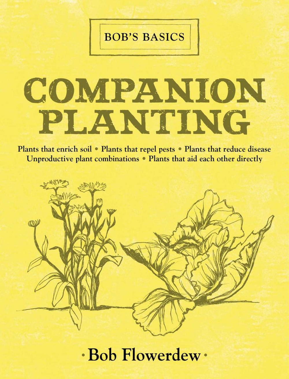 Big bigCover of Companion Planting