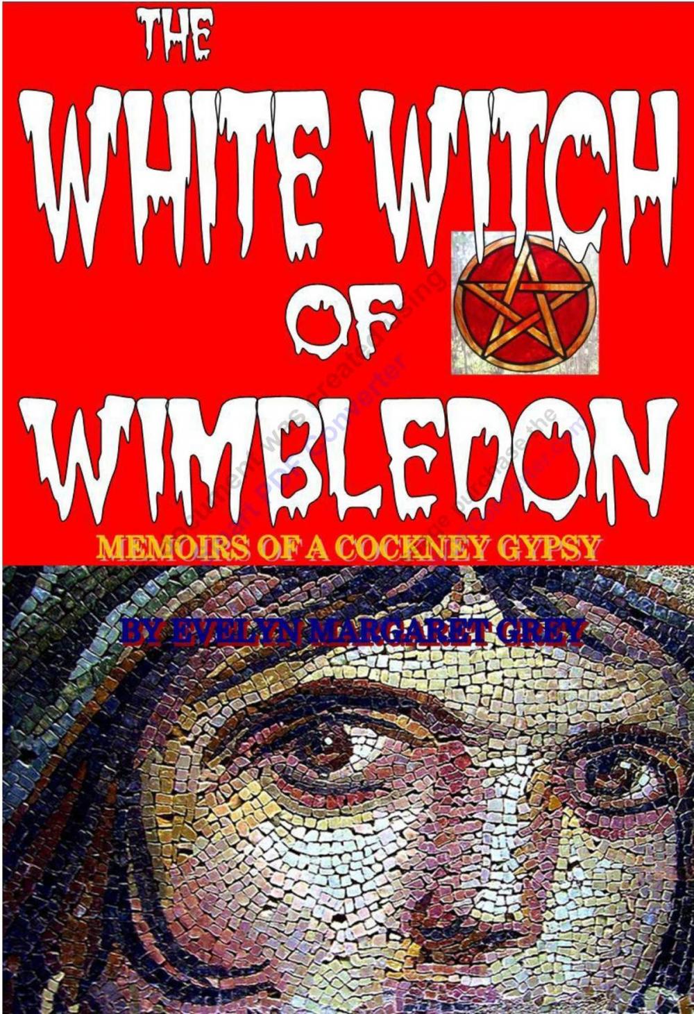 Big bigCover of The White Witch of Wimbledon