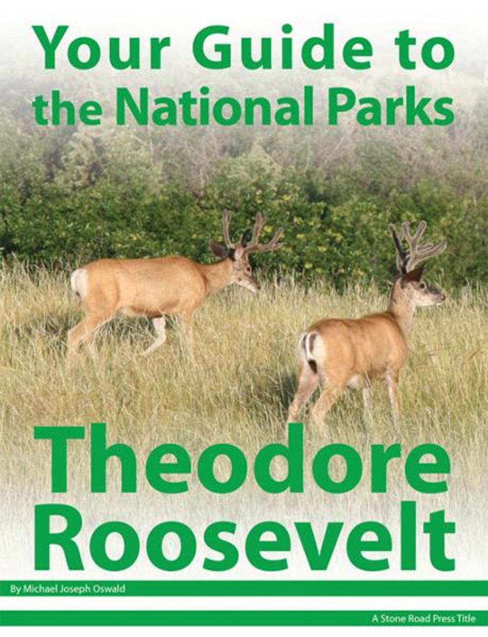 Big bigCover of Your Guide to Theodore Roosevelt National Park