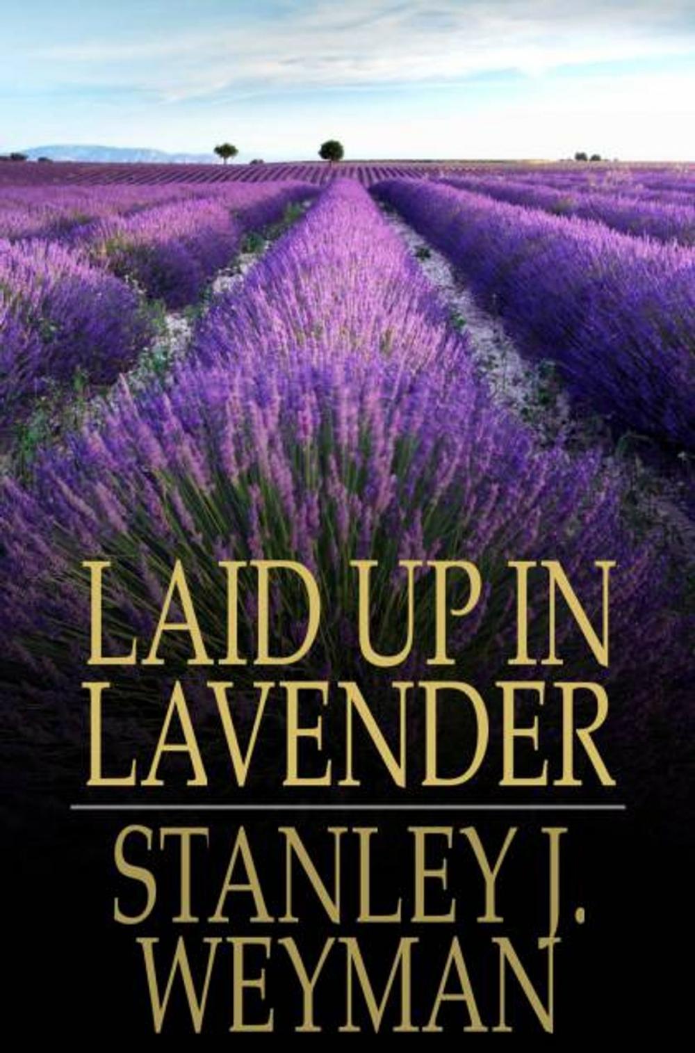 Big bigCover of Laid Up In Lavender