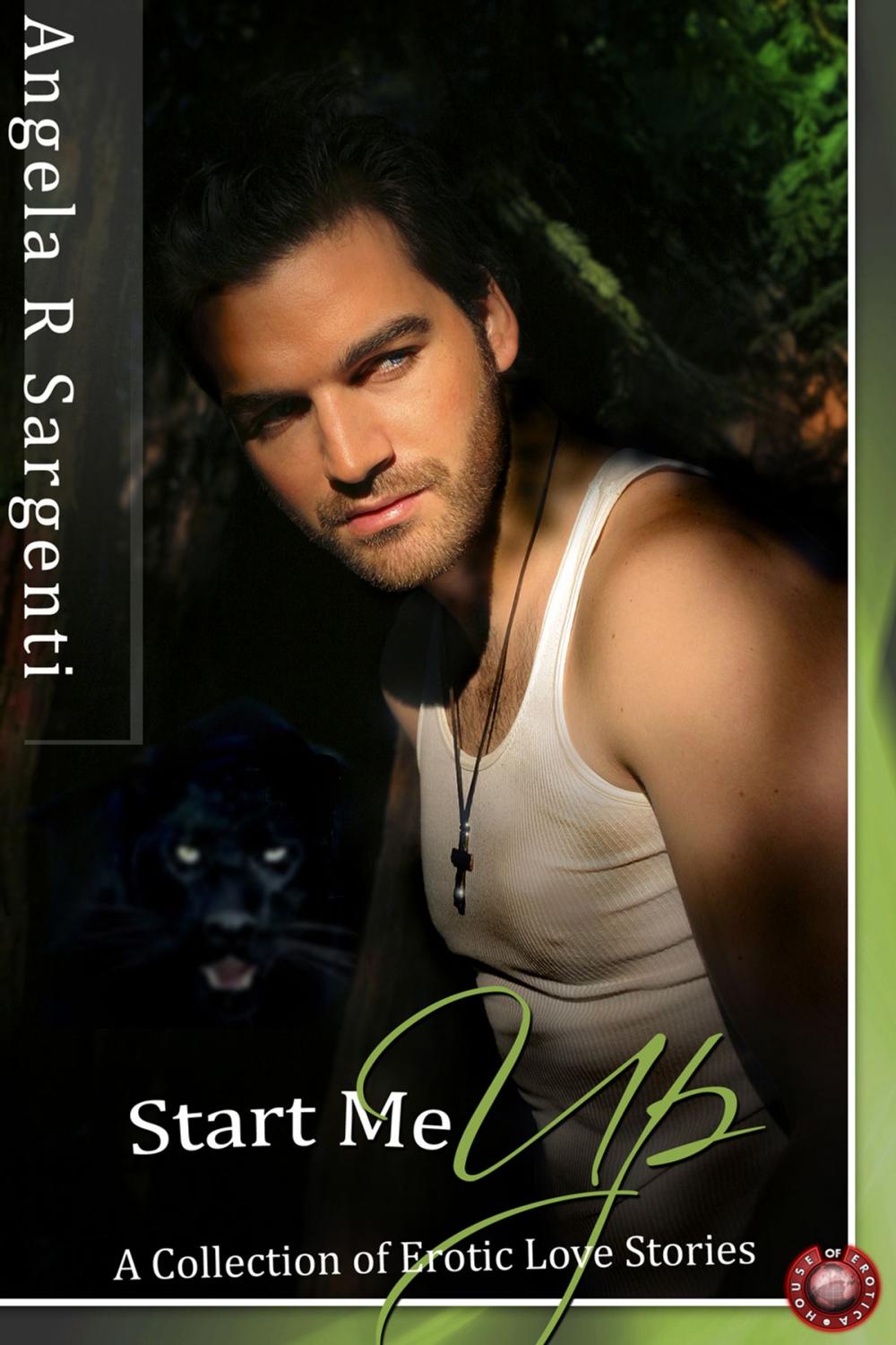 Big bigCover of Start Me Up: A Collection of Erotic Love Stories