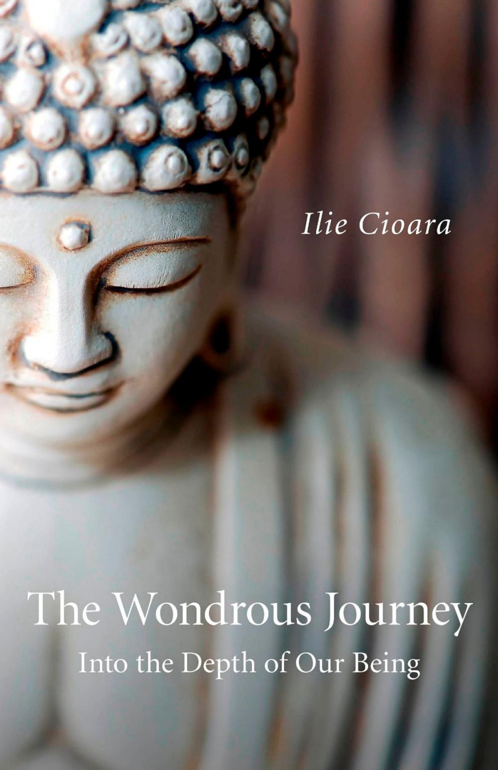 Big bigCover of The Wondrous Journey