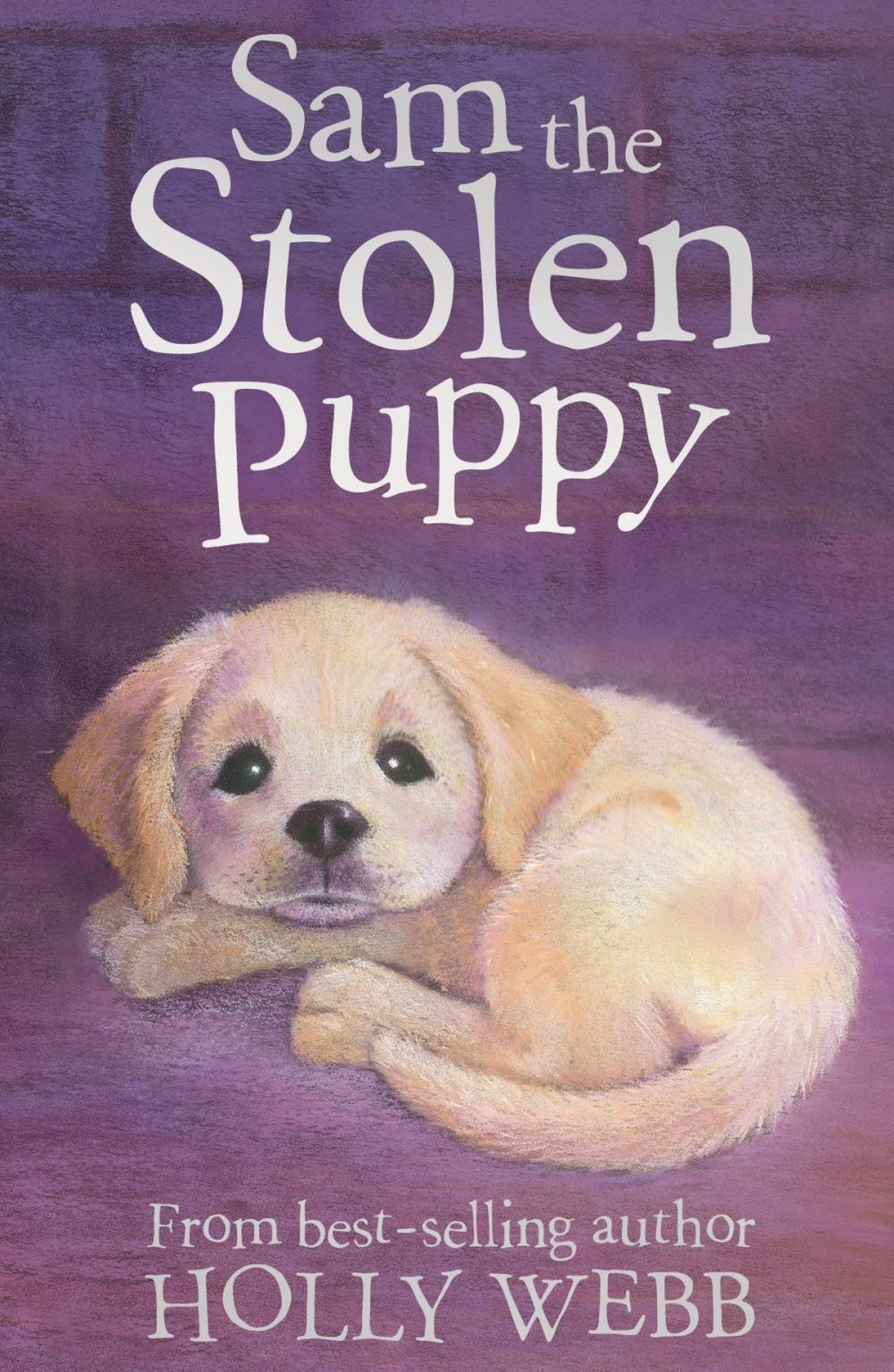 Big bigCover of Sam the Stolen Puppy