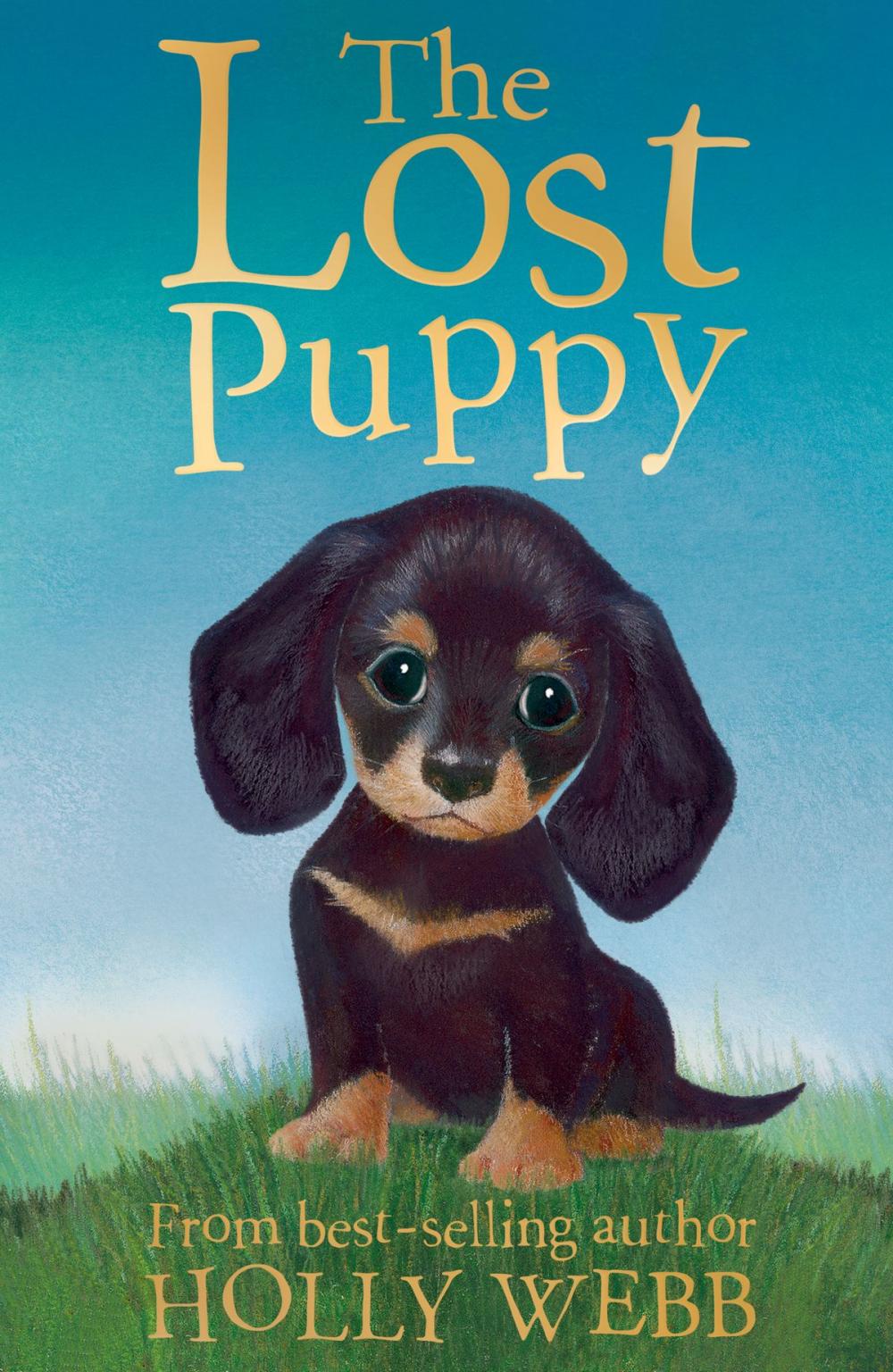 Big bigCover of The Lost Puppy