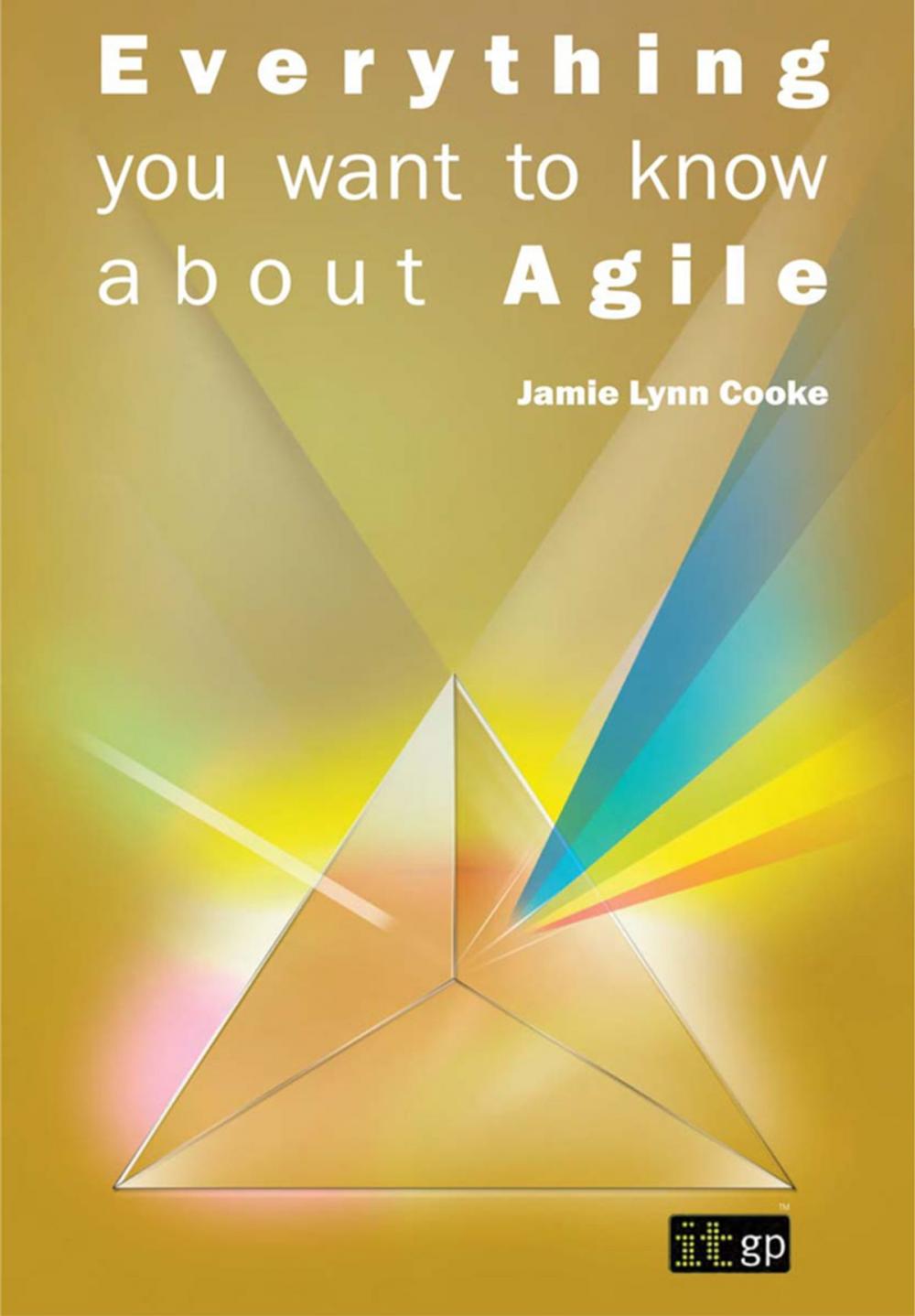 Big bigCover of Everything you want to know about Agile