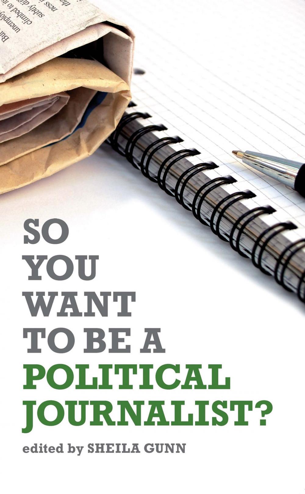 Big bigCover of So You Want to be a Political Journalist