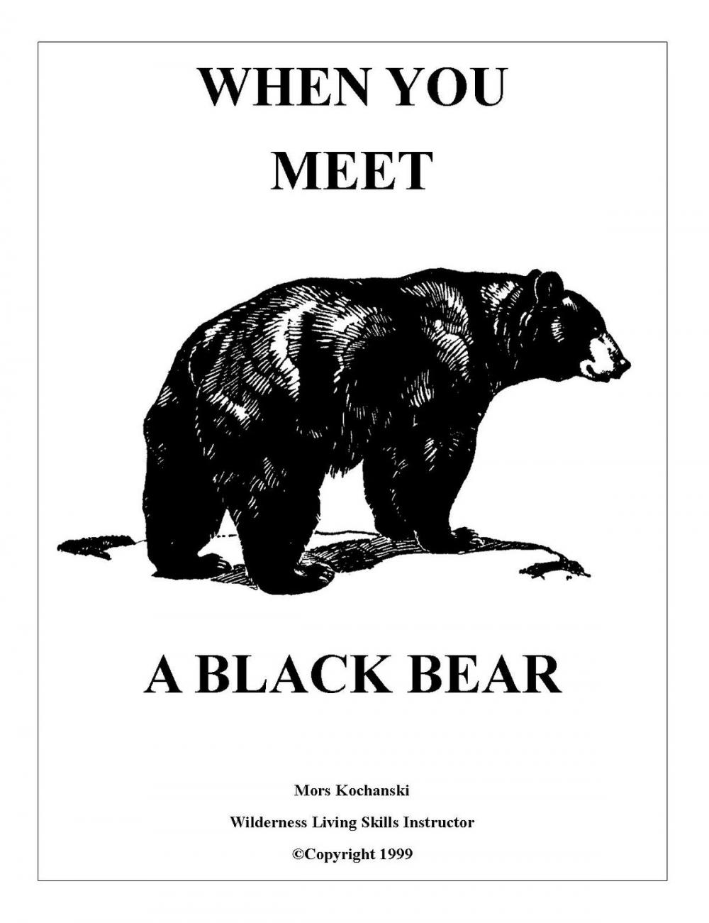 Big bigCover of When You Meet a Black Bear