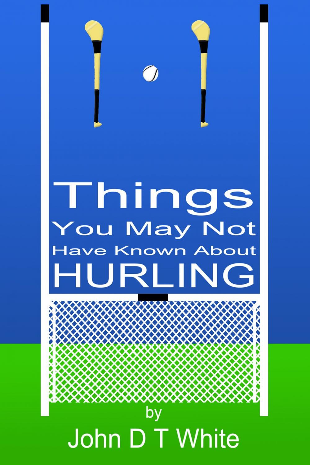 Big bigCover of 101 Things You May Not Have Known About Hurling