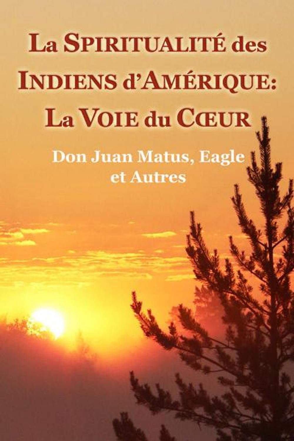 Big bigCover of La Spiritualité des Indiens dAmérique: La Voie du Cœur