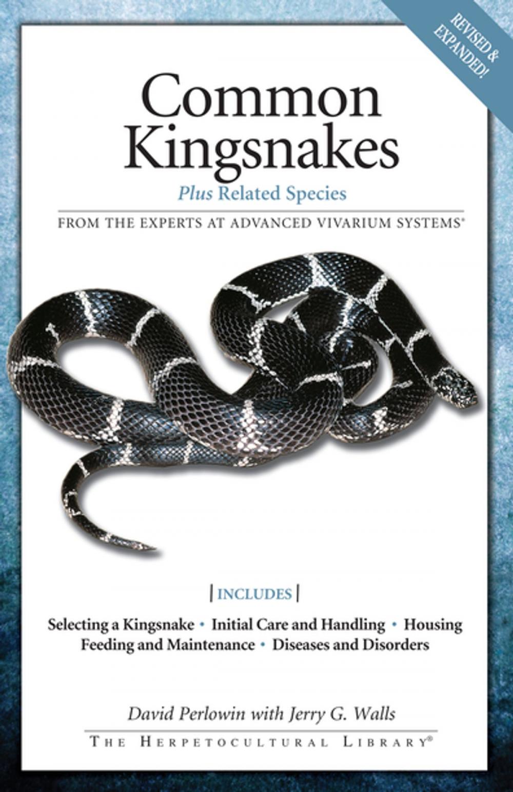 Big bigCover of Common Kingsnakes
