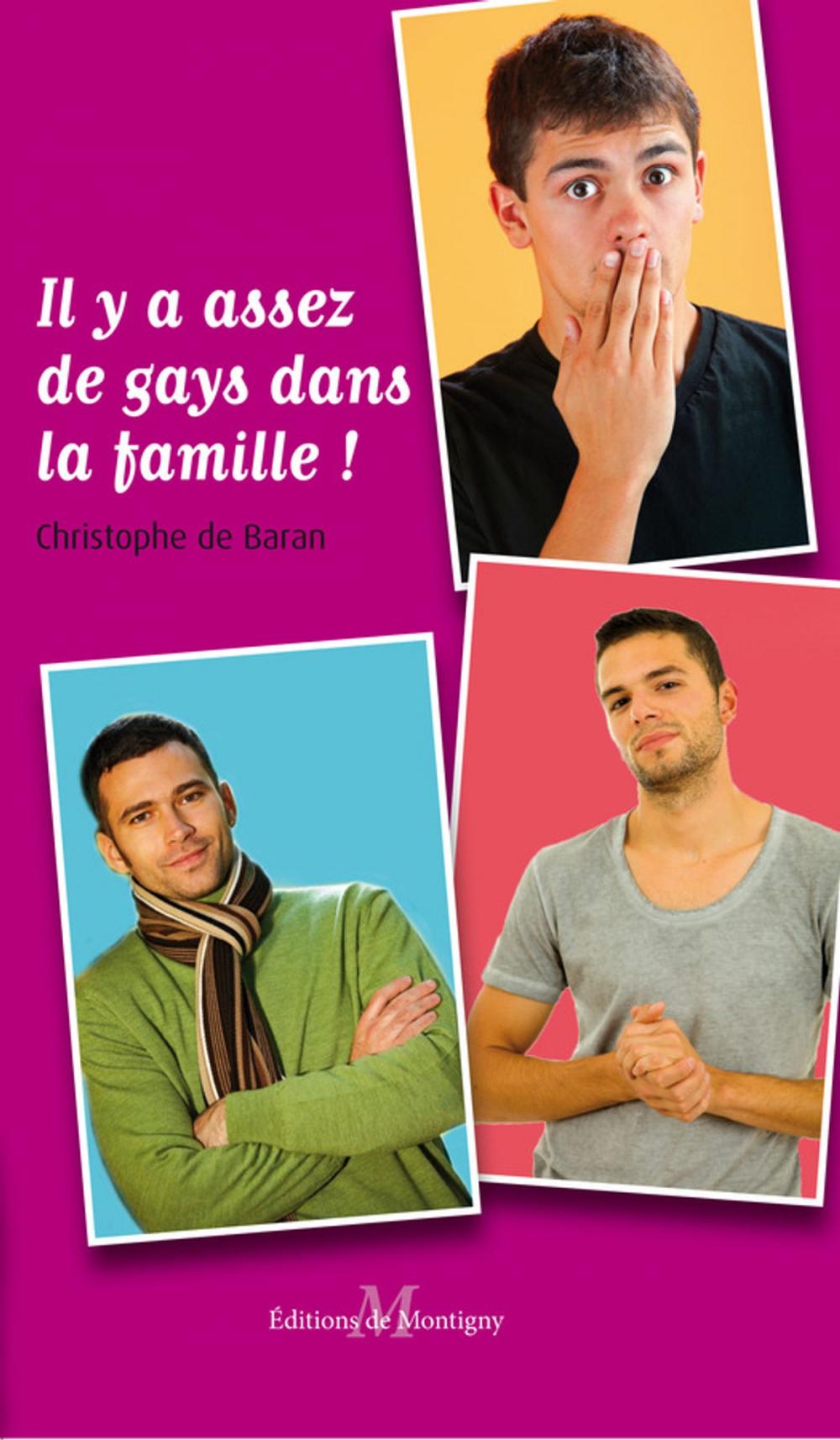 Big bigCover of Il y a assez de gays dans la famille ! (comédie gay)