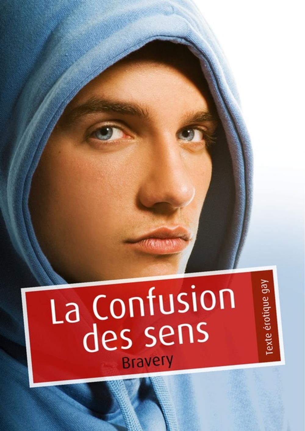 Big bigCover of La confusion des sens (érotique gay)