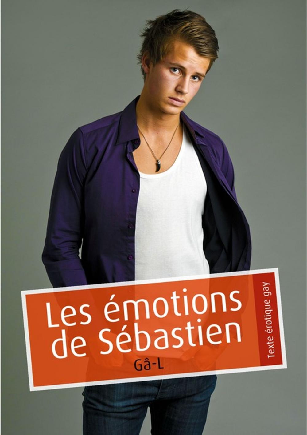 Big bigCover of Les émotions de Sébastien (érotique gay)