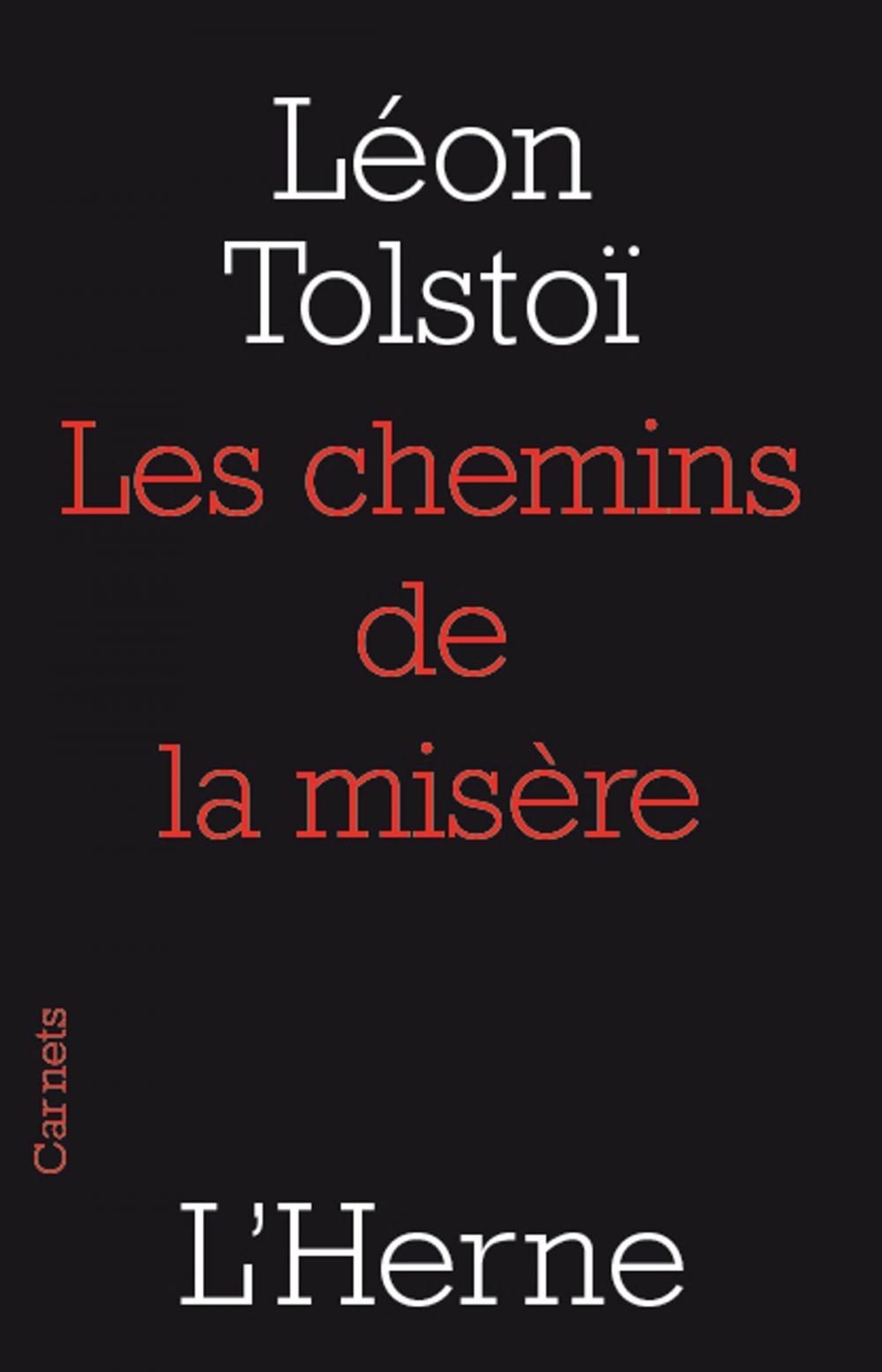 Big bigCover of Les chemins de la misère