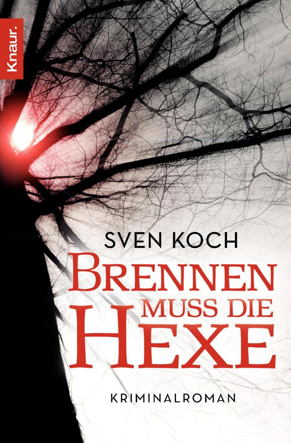 Big bigCover of Brennen muss die Hexe